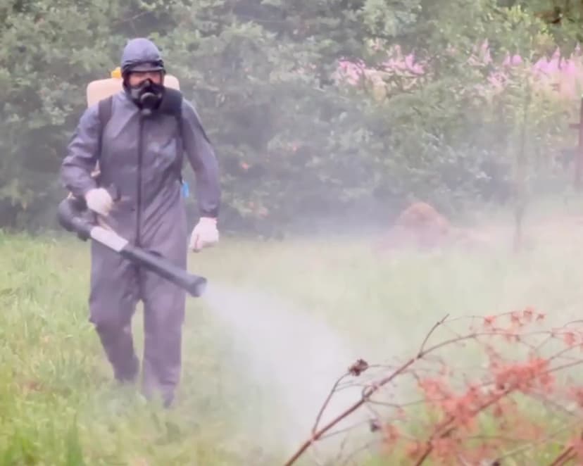 Горячий туман