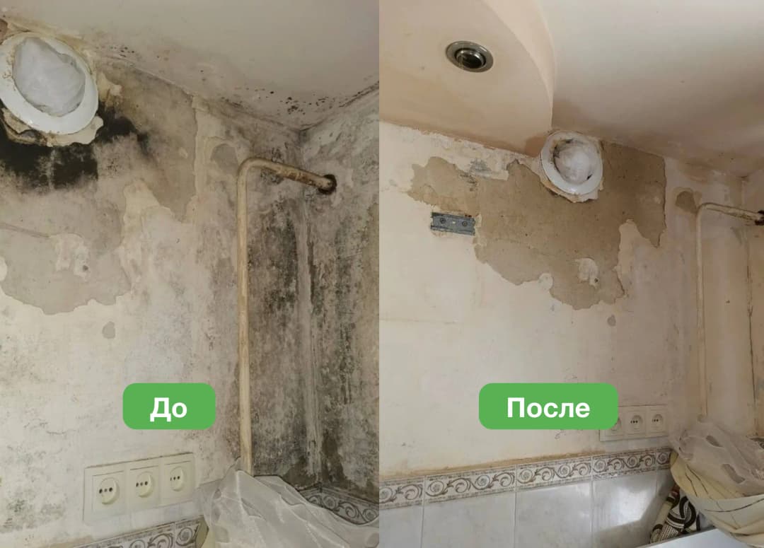 Уничтожение плесени