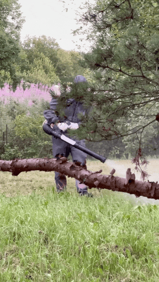 Видео обработки 1